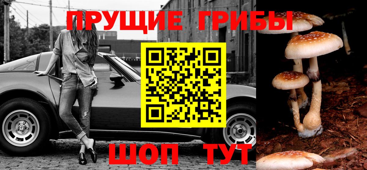 Галлюциногенные грибы GOLDEN TEACHER  Вход с VPN  цены   Домодедово 